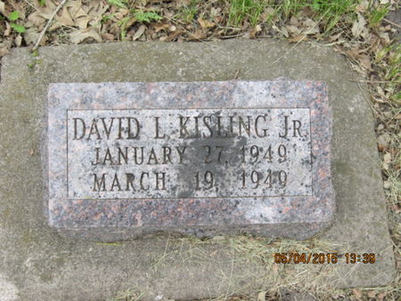 KISLING, DAVID L - Dallas County, Iowa | DAVID L KISLING 