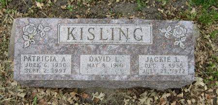 KISLING, JACKIE L - Dallas County, Iowa | JACKIE L KISLING 
