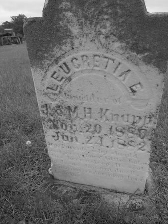 KNAPP, LEUCRETIA E - Dallas County, Iowa | LEUCRETIA E KNAPP 