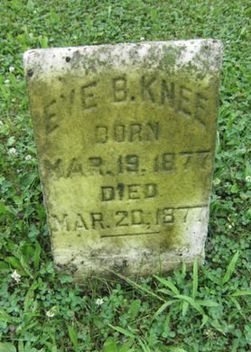 KNEE, EVE B - Dallas County, Iowa | EVE B KNEE 