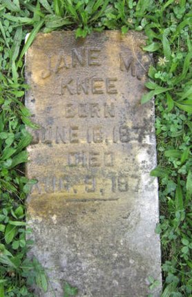 KNEE, JANE M - Dallas County, Iowa | JANE M KNEE 