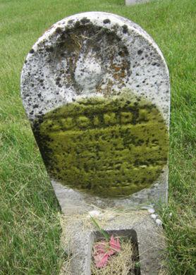 LEWIS, LUCINDA - Dallas County, Iowa | LUCINDA LEWIS 