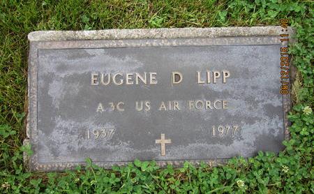 LIPP, EUGENE D - Dallas County, Iowa | EUGENE D LIPP 