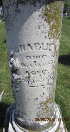 LOVE, CHARLIE N - Dallas County, Iowa | CHARLIE N LOVE 