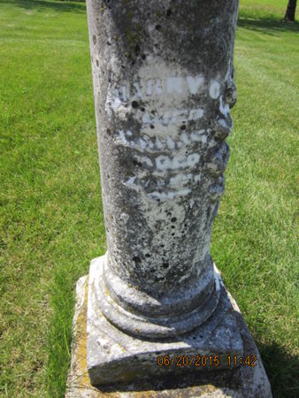 LOVE, HARRY O - Dallas County, Iowa | HARRY O LOVE 