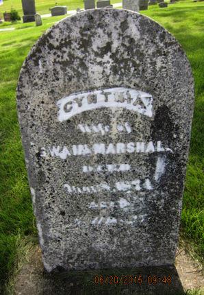 MARSHALL, CYNTHIA - Dallas County, Iowa | CYNTHIA MARSHALL 
