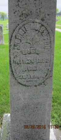 MARSTON, MORRIS - Dallas County, Iowa | MORRIS MARSTON 