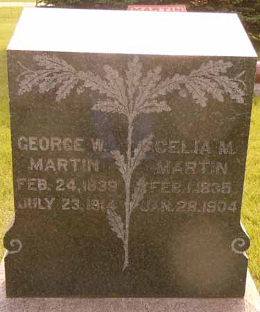 MARTIN, GEORGE W - Dallas County, Iowa | GEORGE W MARTIN 