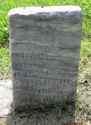 MARTIN, MARY L - Dallas County, Iowa | MARY L MARTIN 