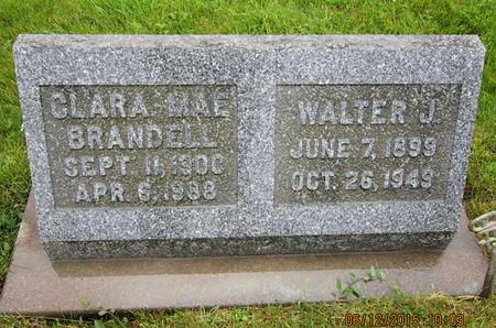 MASSURE, WALTER J - Dallas County, Iowa | WALTER J MASSURE 