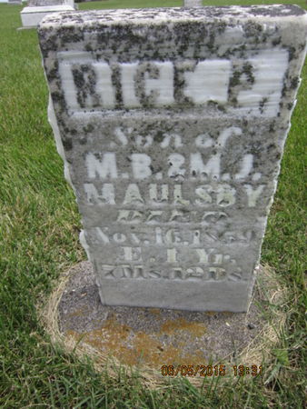 MAULSBY, RICE P - Dallas County, Iowa | RICE P MAULSBY 
