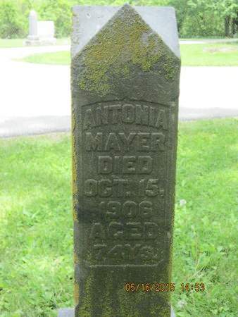 MAYER, ANTONIA - Dallas County, Iowa | ANTONIA MAYER 