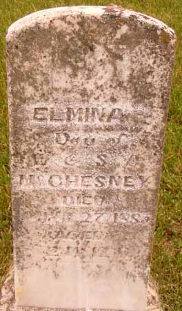 MCCHESNEY, ELMINA - Dallas County, Iowa | ELMINA MCCHESNEY 