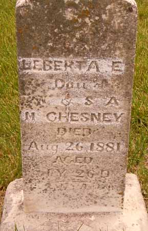 MCCHESNEY, LEBERTA E - Dallas County, Iowa | LEBERTA E MCCHESNEY 