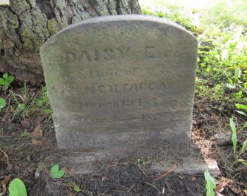 MCFARLAND, DAISY E - Dallas County, Iowa | DAISY E MCFARLAND 