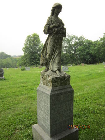 MCGOWAN, FAMILY STONE - Dallas County, Iowa | FAMILY STONE MCGOWAN 