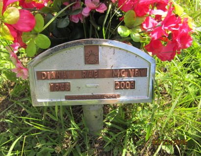 MCVEY, DIANA RAE - Dallas County, Iowa | DIANA RAE MCVEY 