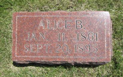 MEACHAM, ALICE B - Dallas County, Iowa | ALICE B MEACHAM 