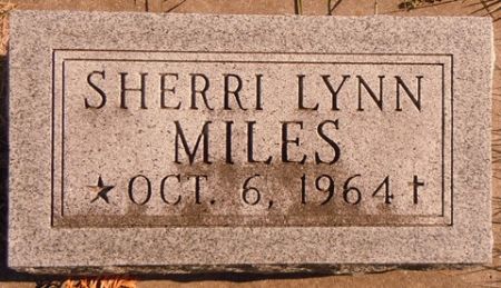 MILES, SHERRI LYNN - Dallas County, Iowa | SHERRI LYNN MILES 