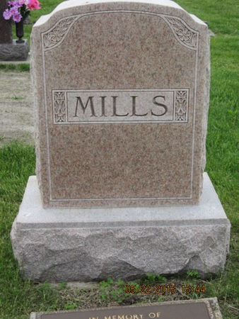 MILLS, FAMILY STONE - Dallas County, Iowa | FAMILY STONE MILLS 