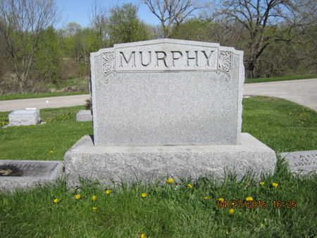 MURPHY, FAMILY STONE - Dallas County, Iowa | FAMILY STONE MURPHY 