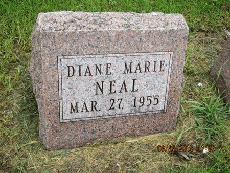 NEAL, DIANE MARIE - Dallas County, Iowa | DIANE MARIE NEAL 