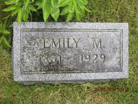 NELSON, EMILY M - Dallas County, Iowa | EMILY M NELSON 