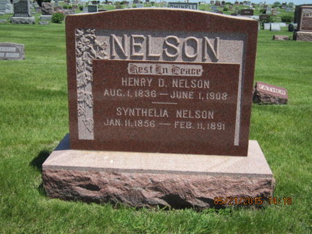 NELSON, HENRY D - Dallas County, Iowa | HENRY D NELSON 