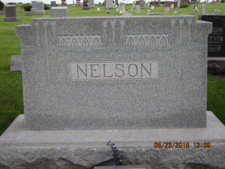 NELSON, FAMILY STONE - Dallas County, Iowa | FAMILY STONE NELSON 