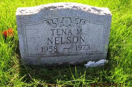 NELSON, TENA M - Dallas County, Iowa | TENA M NELSON 