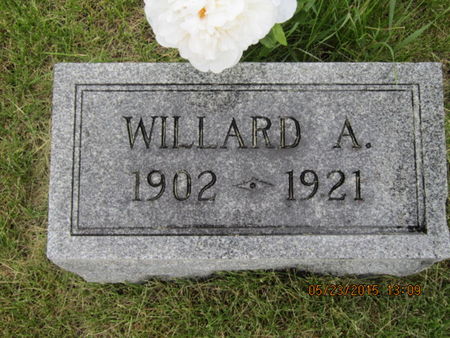 NELSON, WILLARD A - Dallas County, Iowa | WILLARD A NELSON 
