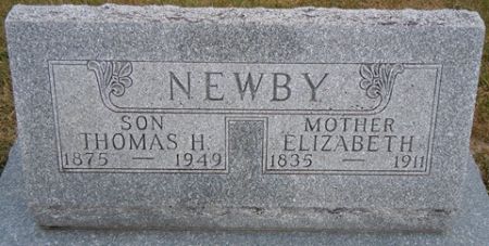 NEWBY, THOMAS H. - Dallas County, Iowa | THOMAS H. NEWBY 