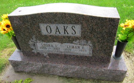 OAKS, LYMAN E - Dallas County, Iowa | LYMAN E OAKS 