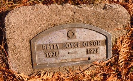OLSON, BETTY JOYCE - Dallas County, Iowa | BETTY JOYCE OLSON 
