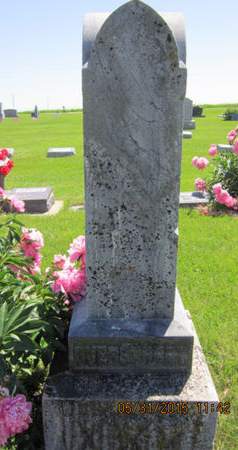 OVERSTREET, FAMILY STONE - Dallas County, Iowa | FAMILY STONE OVERSTREET 