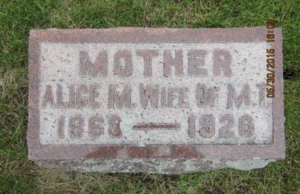 PAARDEKOOPER, ALICE M - Dallas County, Iowa | ALICE M PAARDEKOOPER 