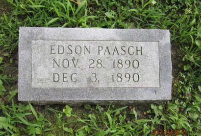 PAASCH, EDSON - Dallas County, Iowa | EDSON PAASCH 