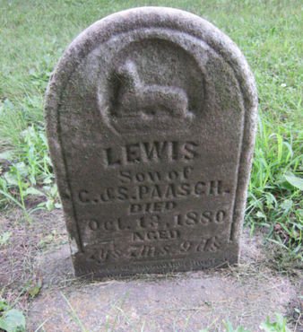 PAASCH, LEWIS - Dallas County, Iowa | LEWIS PAASCH 