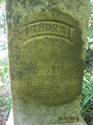 PAASCH, THORA - Dallas County, Iowa | THORA PAASCH 