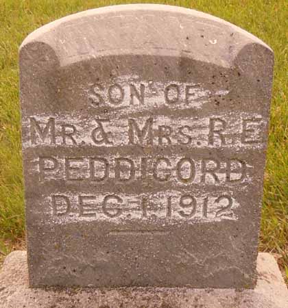 PEDDICORD, INFANT - Dallas County, Iowa | INFANT PEDDICORD 