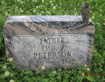 PETERSON, EMIL J - Dallas County, Iowa | EMIL J PETERSON 