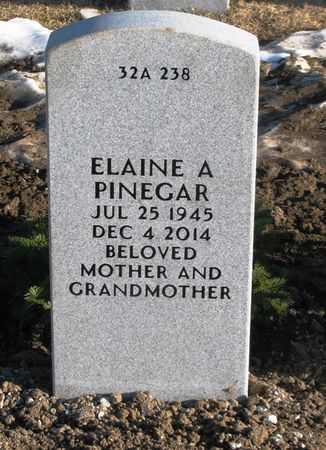 HAASE PINEGAR, ELAINE A - Dallas County, Iowa | ELAINE A HAASE PINEGAR 