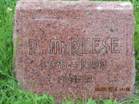 REESE, R M - Dallas County, Iowa | R M REESE 