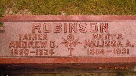ROBINSON, ANDREW D - Dallas County, Iowa | ANDREW D ROBINSON 