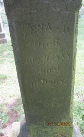 ROOP, LENA H - Dallas County, Iowa | LENA H ROOP 