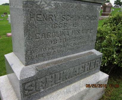 SCHUMACHER, CAROLINA - Dallas County, Iowa | CAROLINA SCHUMACHER 