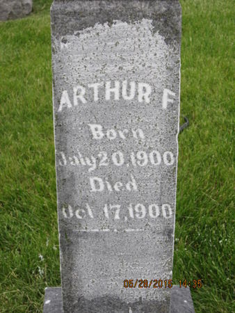 SEAMAN, ARTHUR F - Dallas County, Iowa | ARTHUR F SEAMAN 