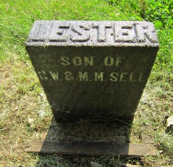 SELL, LESTER - Dallas County, Iowa | LESTER SELL 