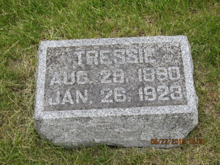 SHADE, TRESSIE - Dallas County, Iowa | TRESSIE SHADE 