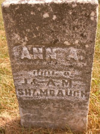 SHAMBAUGH, ANN A. - Dallas County, Iowa | ANN A. SHAMBAUGH 
